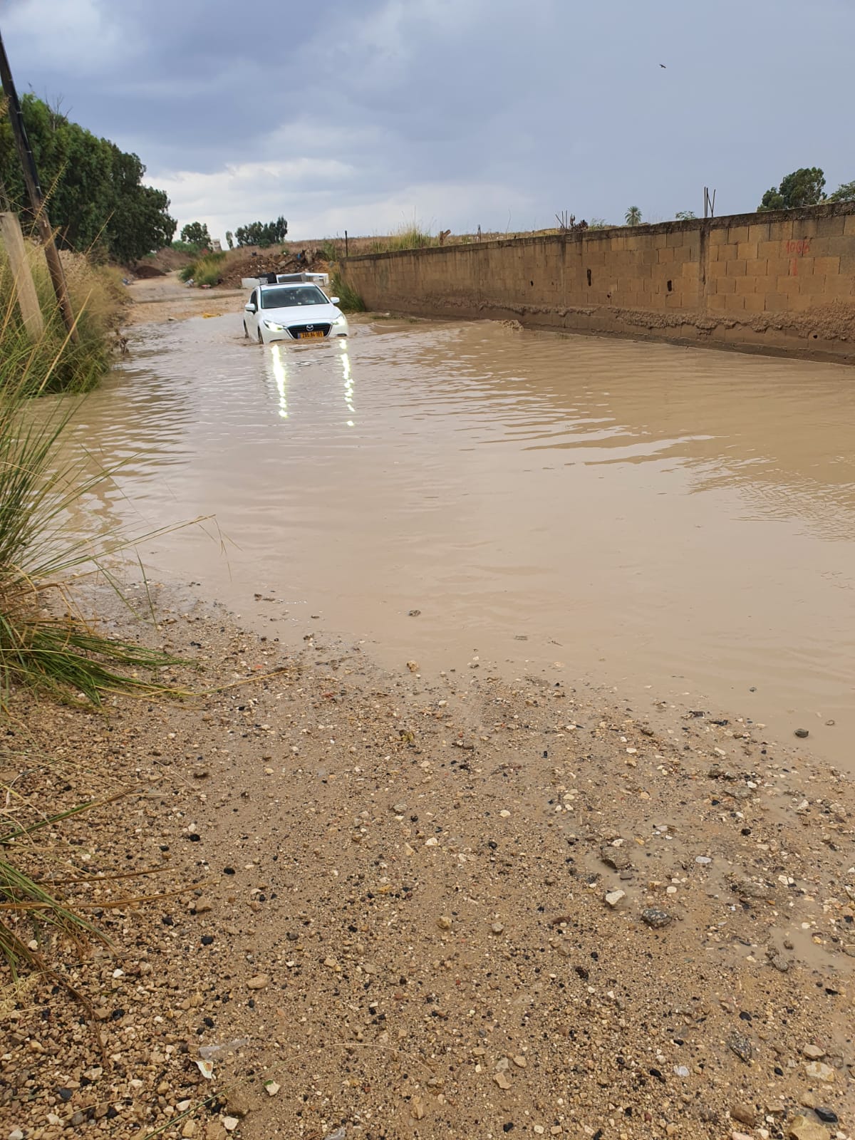 WhatsApp Image 2020-11-05 at 9.05.34 AM (1).jpeg.jpeg